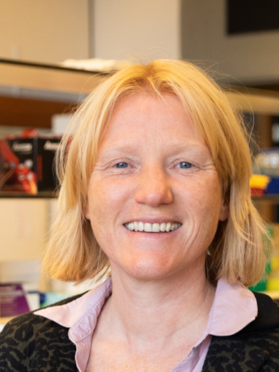 Prof. C.J. Wierenga (Corette)