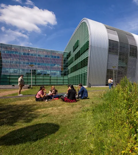 Studenten buiten in het gras achter het Huygensgebouw