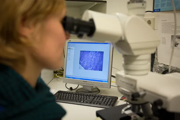 Molecular Microbiology