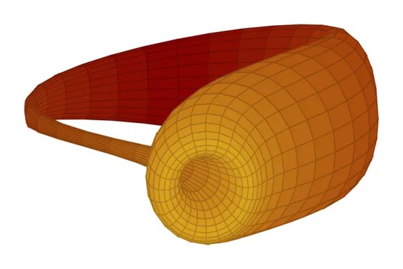 Pure Mathematics