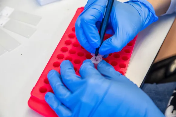 Molecular Biology