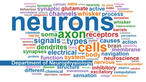 Department of Neurophysiology