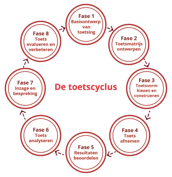 Een infographic over de toetscyclus, bestaande uit acht fases.