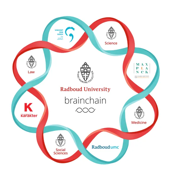 Radboud Brainchain partners infographic