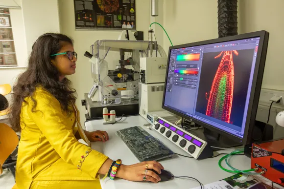 Plant Systems Physiology
