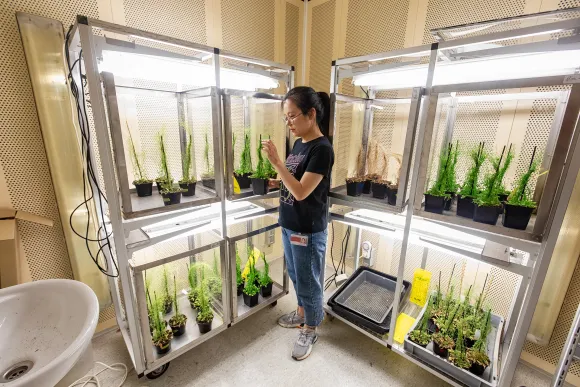 Fysiologie van plantensystemen
