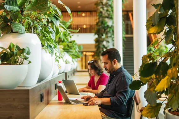 Employees Radboud Universiteit