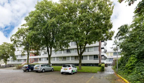 SSH& Galgenveld