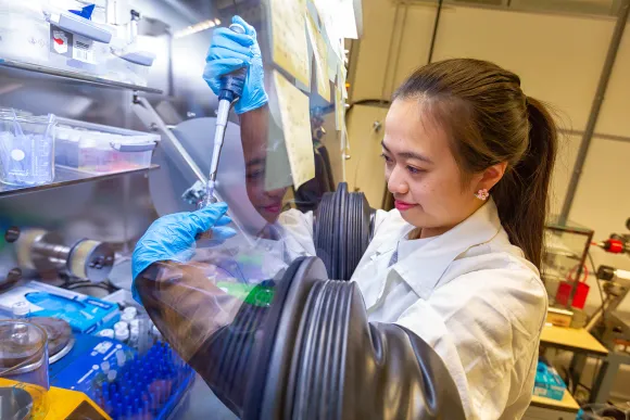 Researcher at Solid State Chemistry group