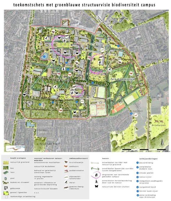 Biodiversiteitsvisie Radboudcampus