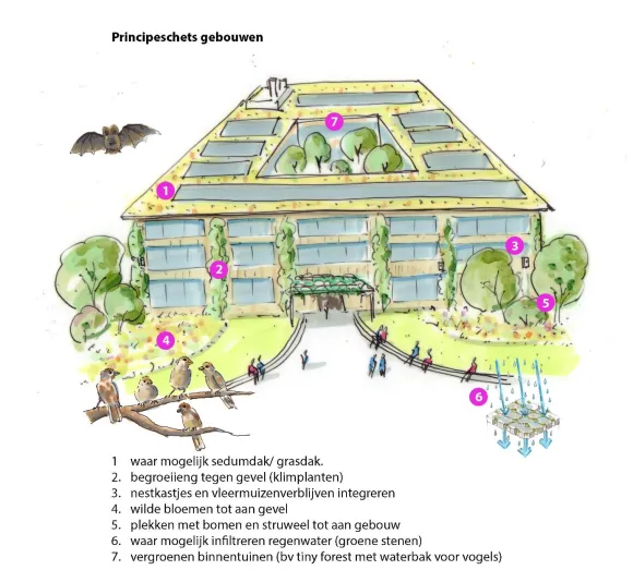 Principeschets gebouwen