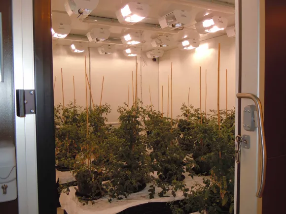Foto RIBES Climate chamber