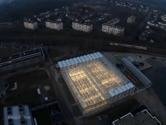 RIBES Greenhouse bovenaanzicht