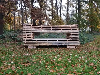 Foto van de droomboom in de tuin van de studentenkerk