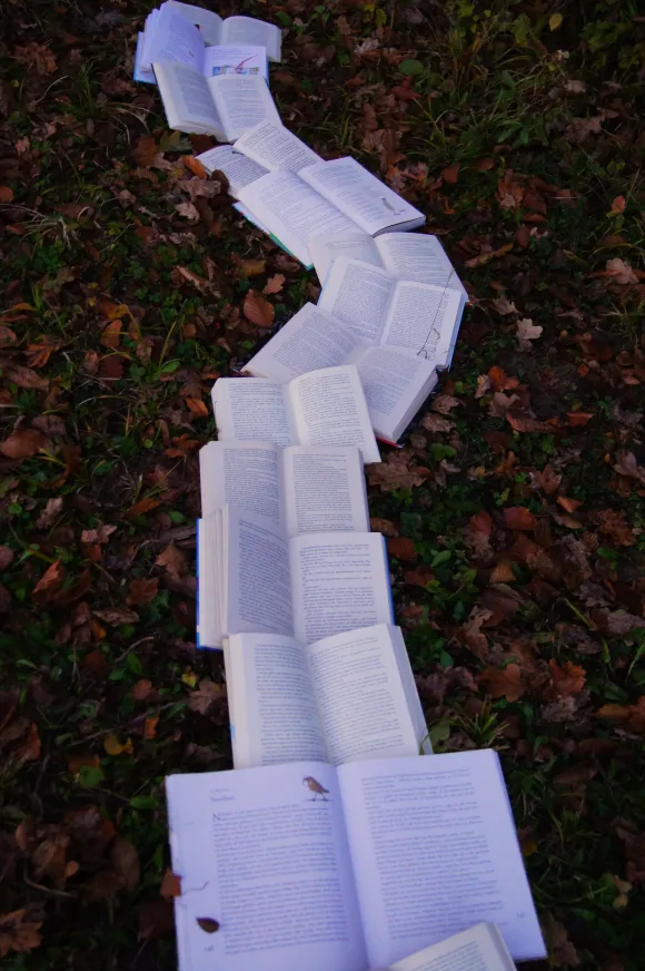 Donders Thesis Series
