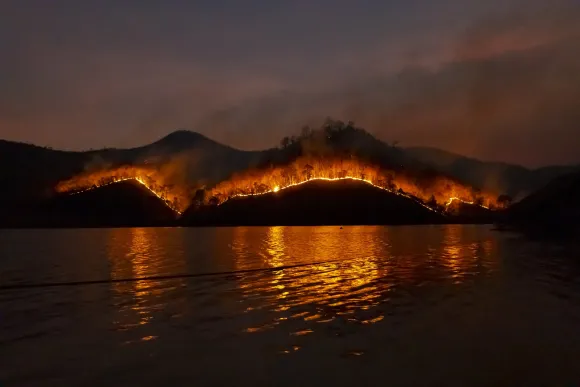Bosbrand op een heuvelrug in de nacht