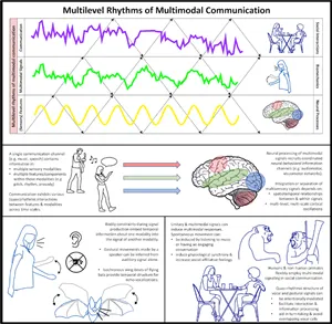 Communicative rhythms