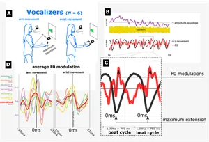Gesture-speech biomechanics