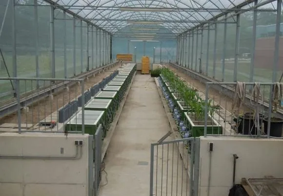 Rootlab