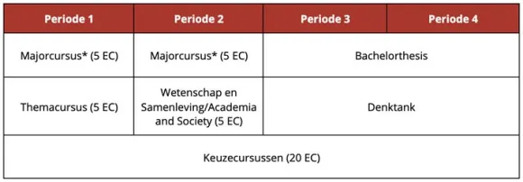 voorbeeld van een B3-programma met een thematische minor
