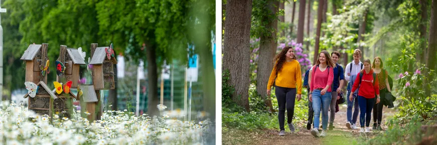 Green campus people walking