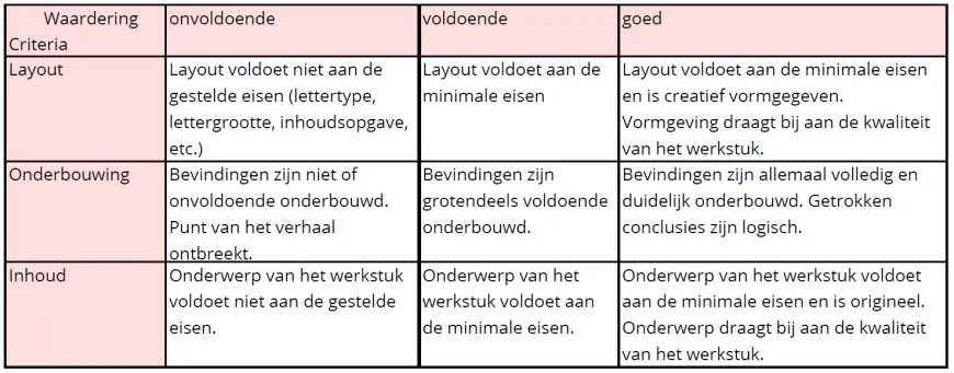 Een voorbeeld van hoe een rubric kan worden vormgegeven.