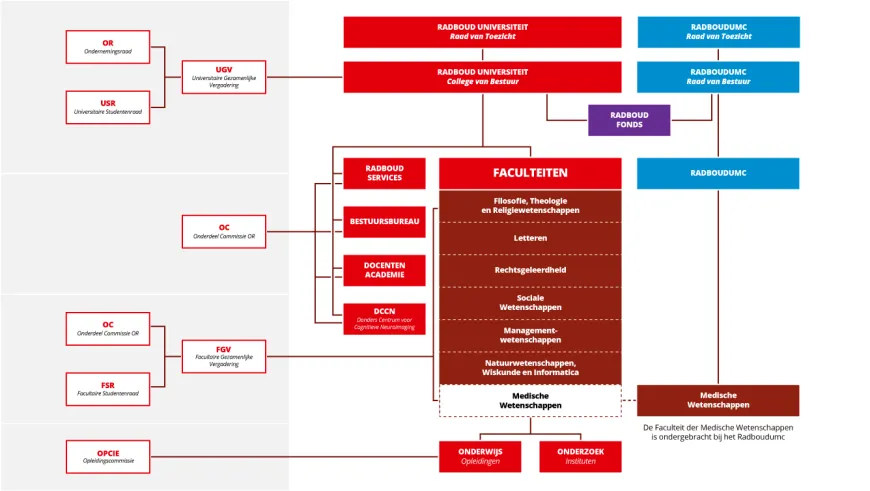 De organisatiestructuur van de Radboud Universiteit met medenzeggenschapraden