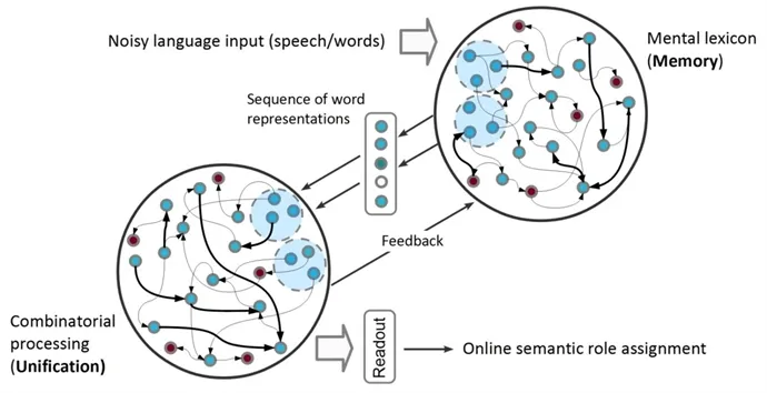 Infographic The nature of the mental lexicon