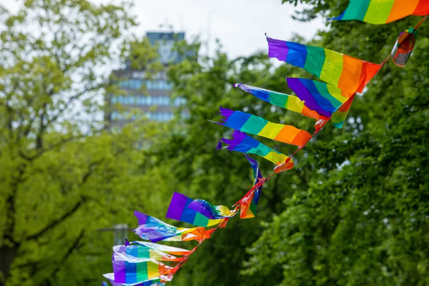 Rainbow flags with the Erasmus building in the background