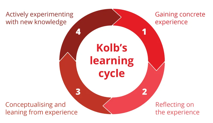 A visual representation of Kolb's learning cycle