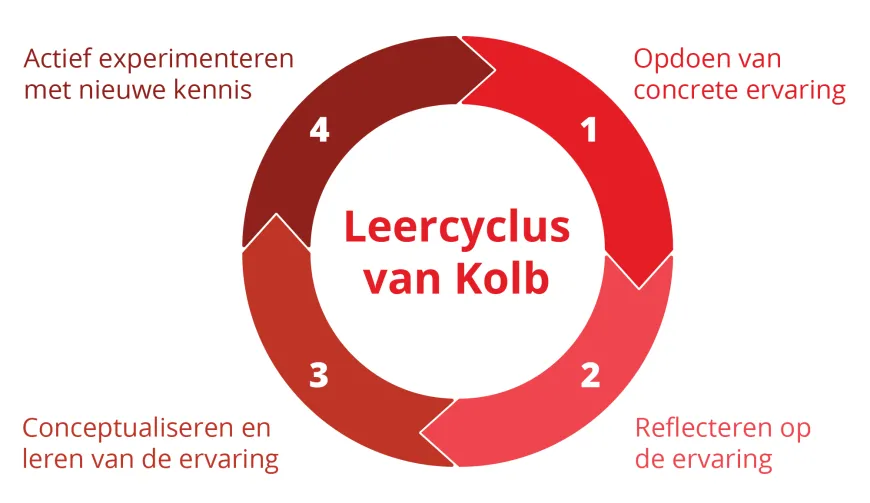 Een visuele representatie van de leercyclus van Kolb