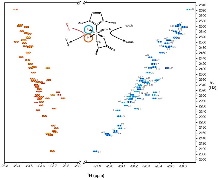 D- and L-α-amino acids in complex mixtures