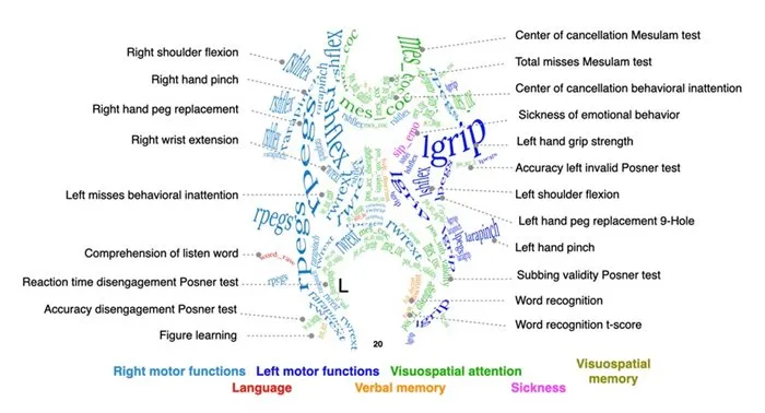 Neuropsychological white matter atlas