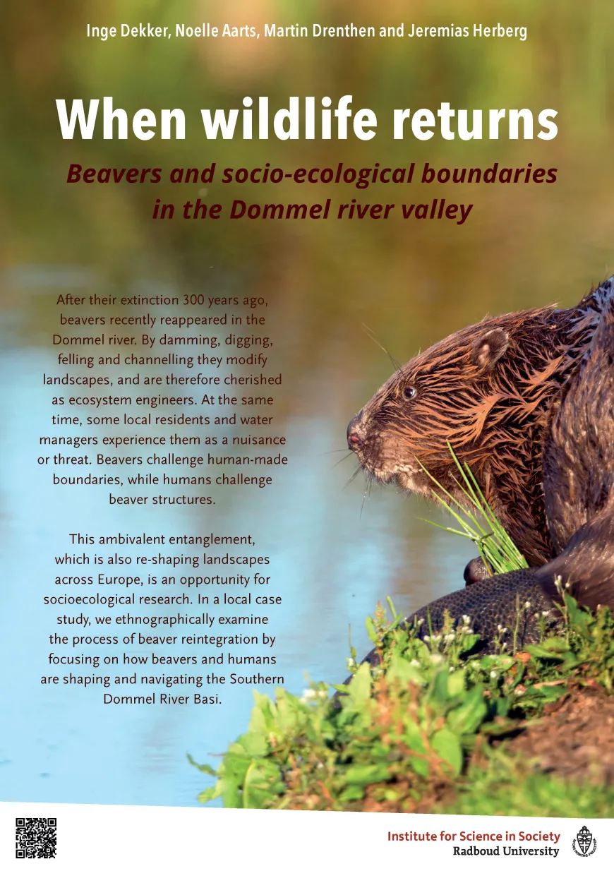 When Wildlife Returns