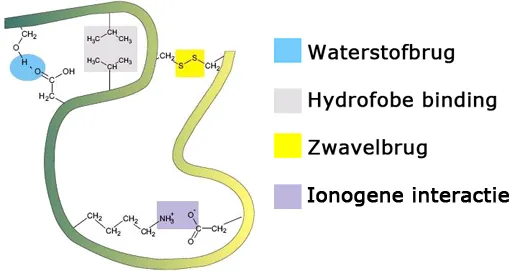 Vliegveldmoord - Interacties atomen