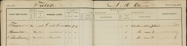 Example of slavery register