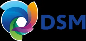 DSM