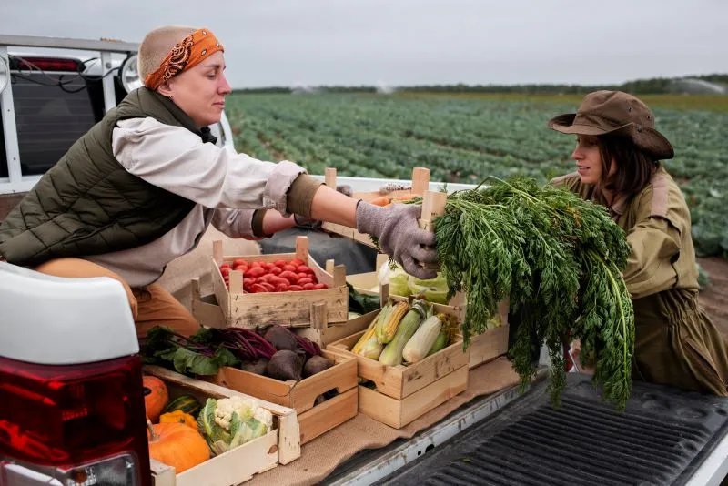 eco friendly agriculture 