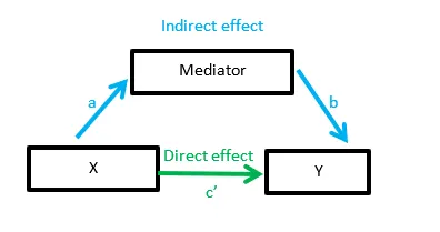 Model about an indirect effect of X on Y 