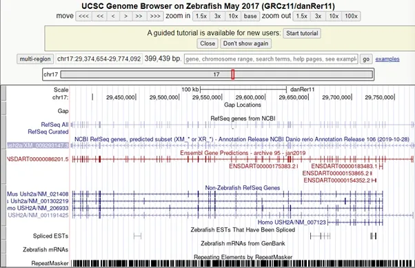 Practicum CRIPSR/Cas9 - opdracht 12a