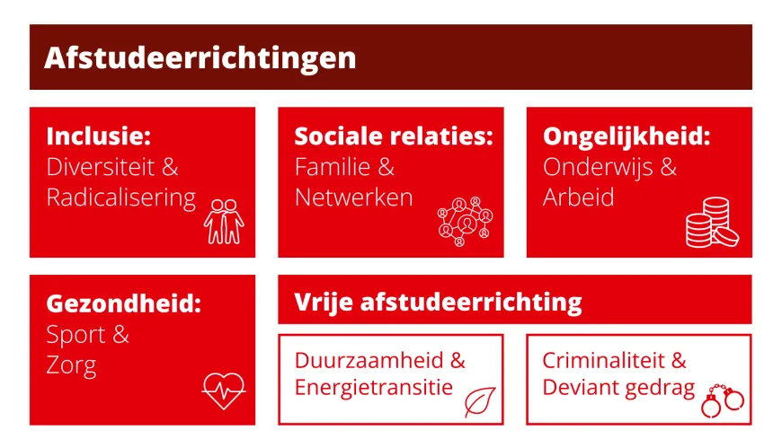 Visueel overzicht van afstudeerrichtingen