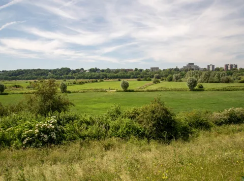 De Ooijpolder