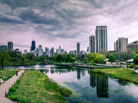 City with a lot of trees and water.