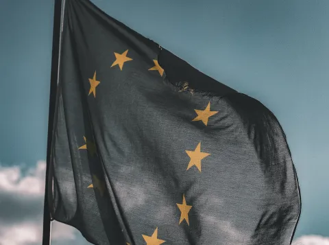Picture European Union Governance and Politics