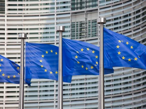 Picture European Union Politics and Governance 