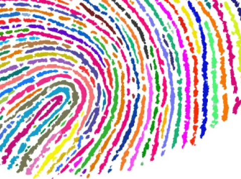 Afbeelding van het strategische thema diversiteit