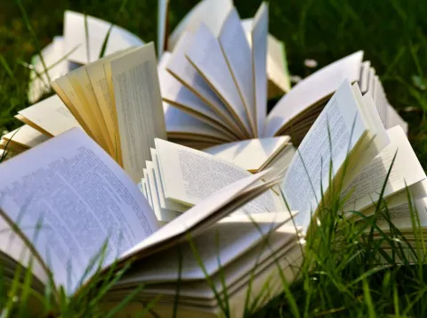 boeken buiten