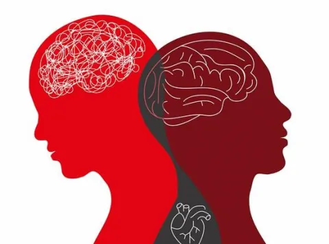 Afbeelding bij project Werken onder druk? Professionele identiteitsspanningen van leraren gedurende hun loopbaan: impact op burnout en welzijn
