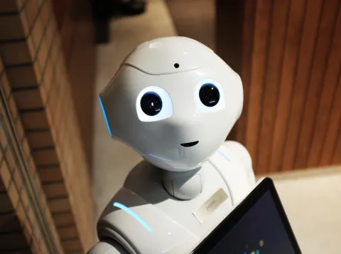 Robot