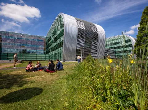 Studenten buiten in het gras achter het Huygensgebouw